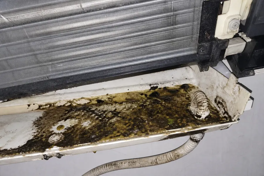 Before: blocked drain